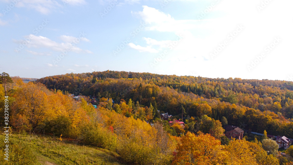 Autumn trees on top . Autumn landscape . Landscape from a drone. Photos from the air. Beautiful view. Orange trees.