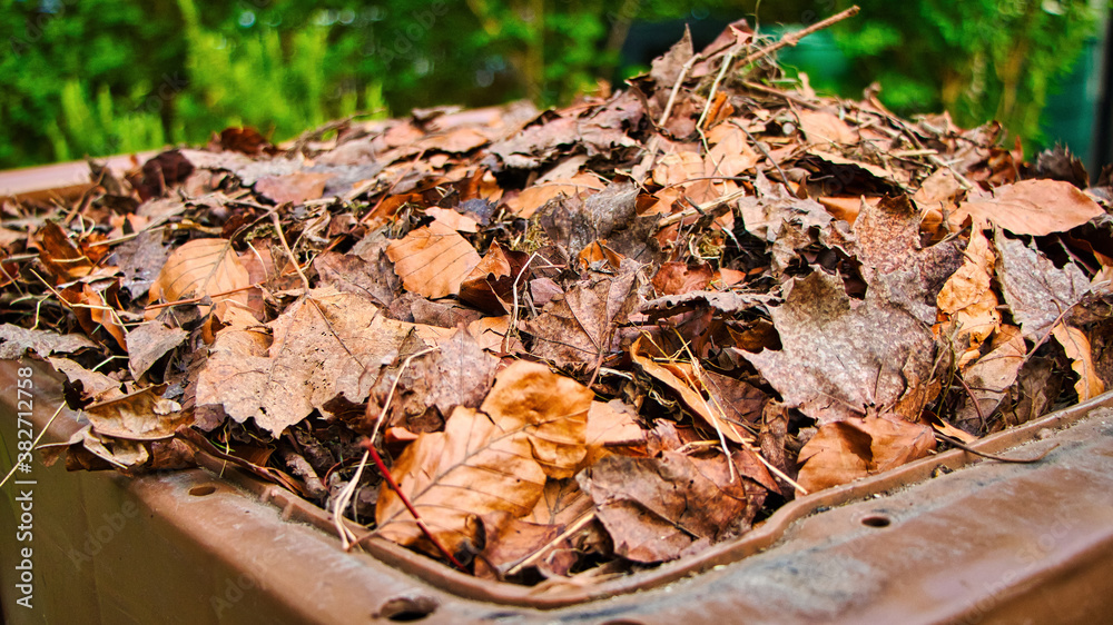 Naklejka premium Im Herbst müssen die Blätter eingesammelt und in die Biotonne gefüll werden