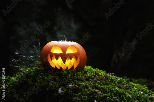 Glowing Jack O Lantern on moss in the dark forest. Halloween Pumpkin In A Spooky Forest At Night. © raland