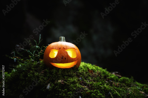Forest pumpkin. Halloween and darkness theme. Horror background with autumn valley. Symbol of the autumn holiday. Space for text. © raland