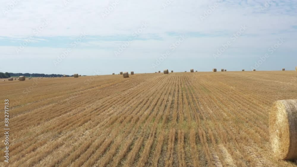 Round bales of straw on the field, on a background of blue sky Round bales of straw on the field, on a background of blue sky