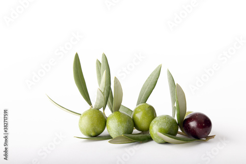 Ramo di ulivo e olive verdi su sfondo bianco