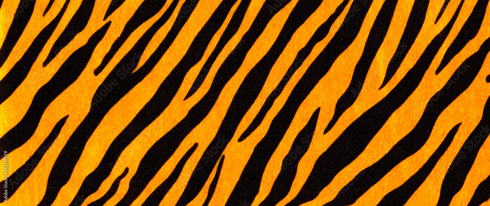 Background with a pattern of tiger stripes, tiger color. Tiger skin background or texture.