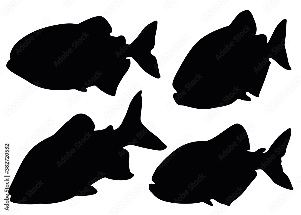 Piranha fish in the set. Dangerous fish. Stock Vector | Adobe Stock