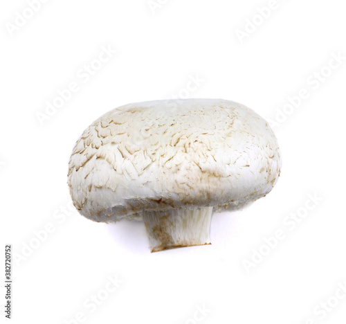 Mushrooms champignons isolated on a white background. Vegan food. Healthy food