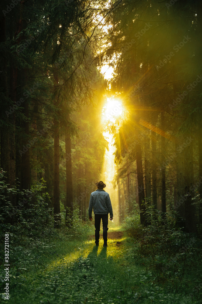 Man in denim jacket in forest during dreamy sunrise with sun rays shining trough the forest. Man in denim jacket in forest during dreamy sunrise with sun rays shining trough the forest.