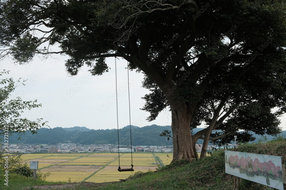 Obraz premium ブランコ