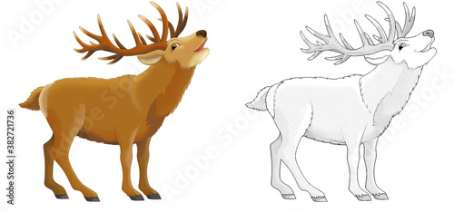 cartoon sketch scene with reindeer deer on white background - illustration
