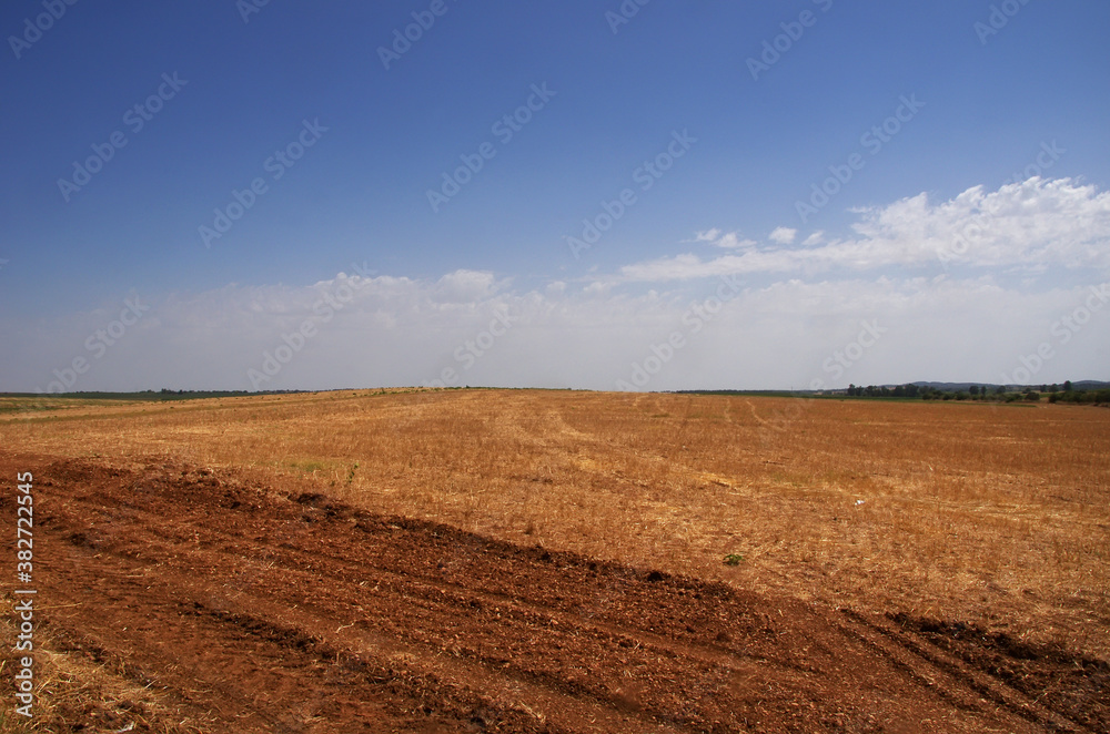 landscape of agricultural field, south of Portugal