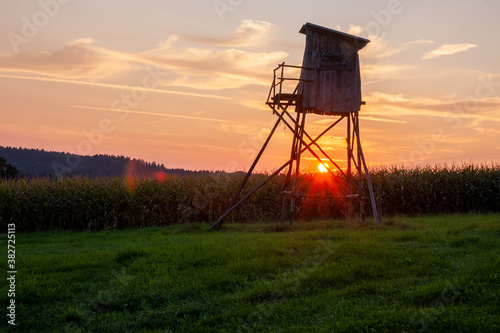 Konstfotografi Natur