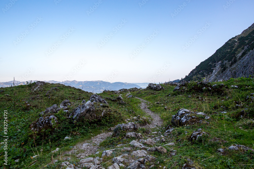 travel germany and bavaria, view into a green forest with a stream of wild water travel germany and bavaria, view into a green forest with a stream of wild water