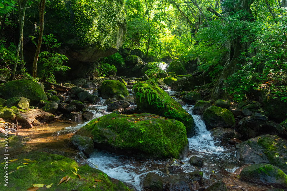 Obraz premium el convento