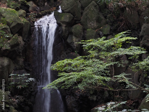 waterfall in autumn