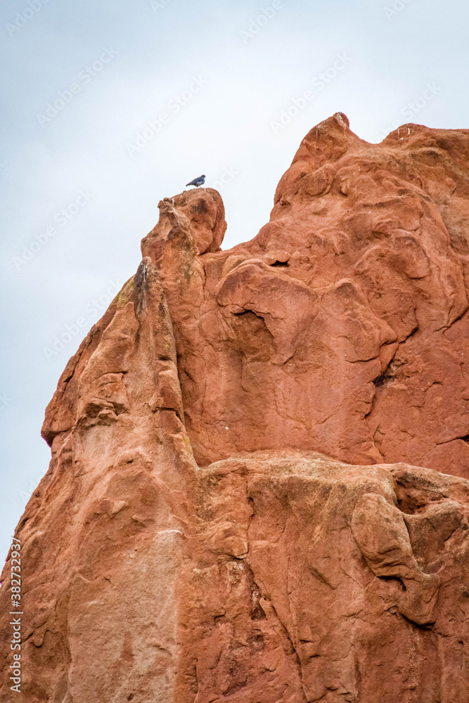 Fototapeta premium red rock formations