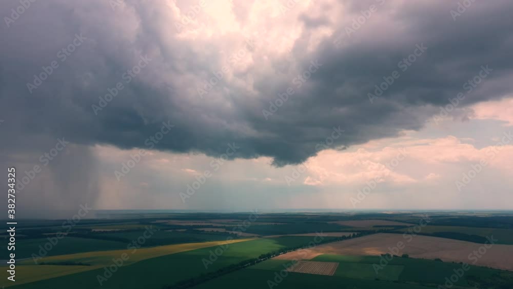 Large yellow field of sunflowers and heavy storm clouds. Large yellow field of sunflowers and heavy storm clouds.