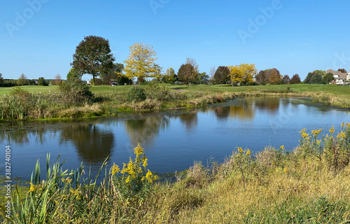 early autumn golf course pond geese fairway
