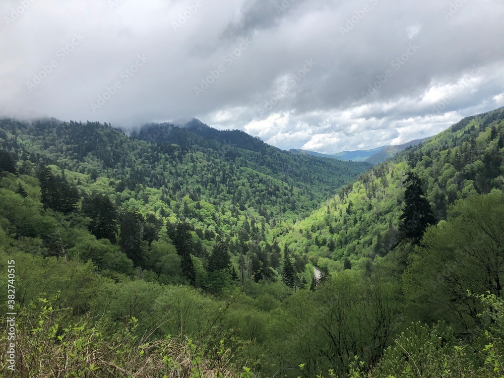Naklejka premium landscape with clouds
