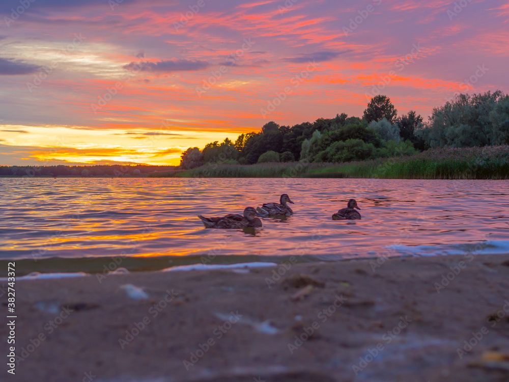 Naklejka premium Evening On Lake