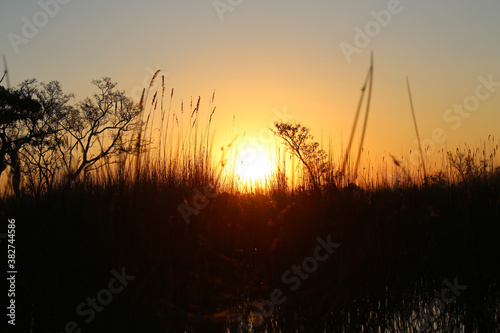 Sunset within the Okavango delta in Botswana.