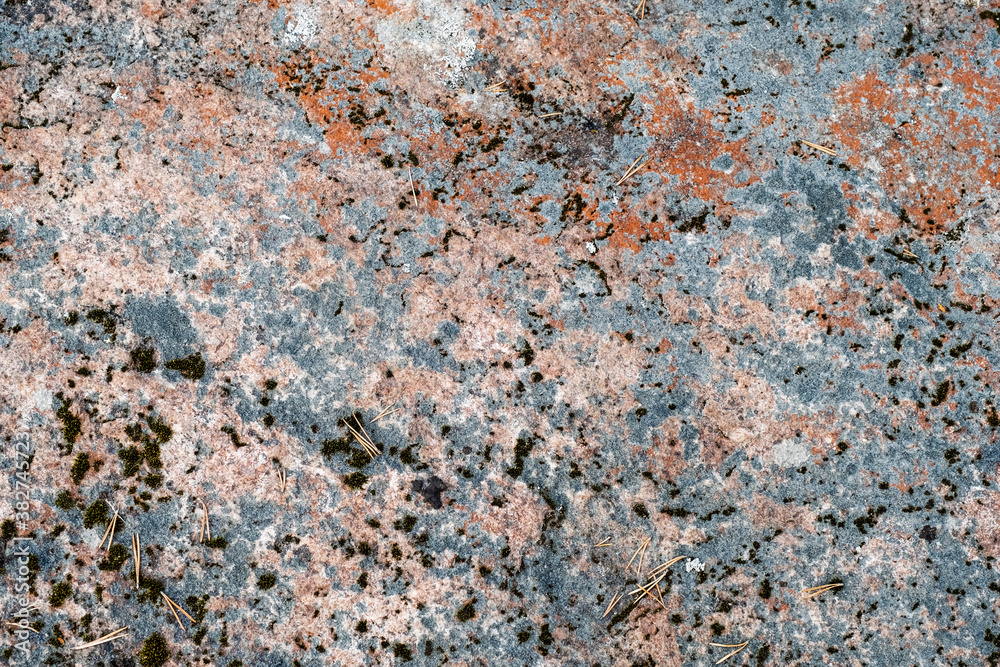 Colorful moss on the rock. Stone natural background Colorful moss on the rock. Stone natural background