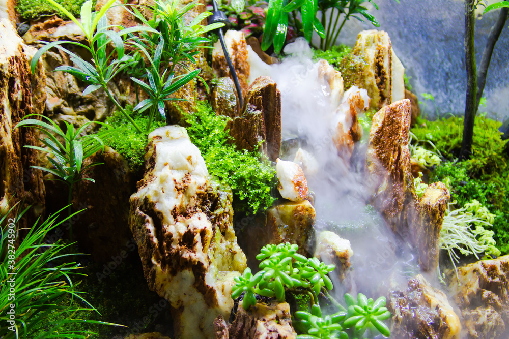 Obraz premium A bonsai waterfalls and plants close up