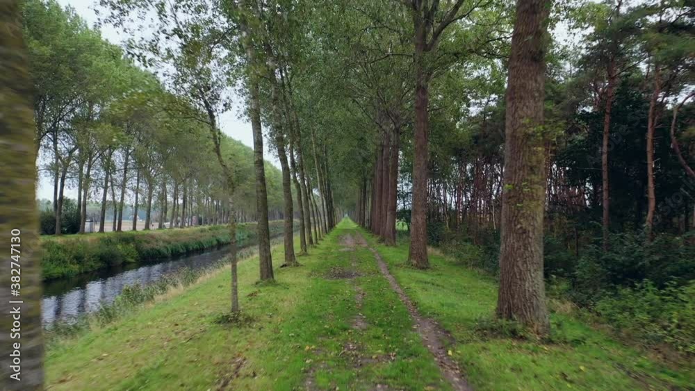 Aerial, pov, a path between two lines of trees next to a canal, Belgium Aerial, pov, a path between two lines of trees next to a canal, Belgium