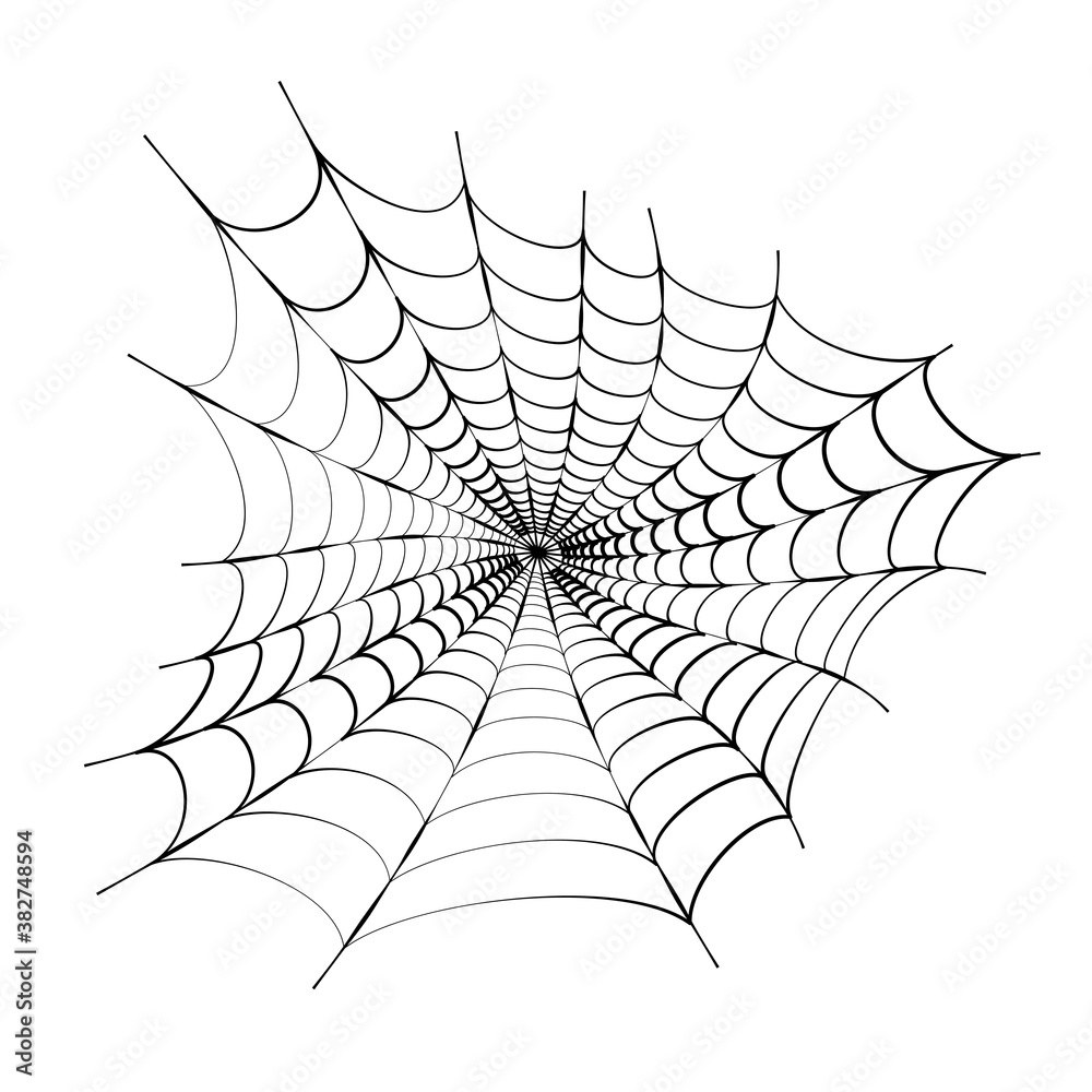 Spider web concept Spider web concept
