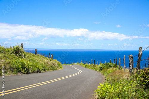 Beautiful country road  seaside pasture  Maui  Hawaii