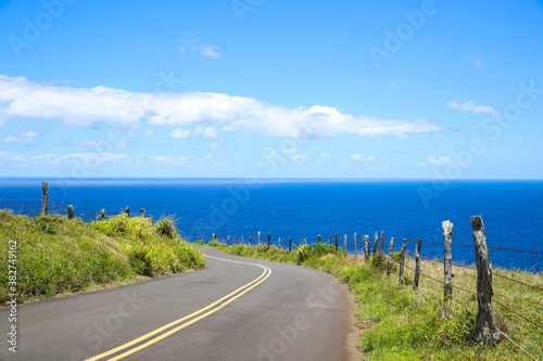 Beautiful country road  seaside pasture  Maui  Hawaii