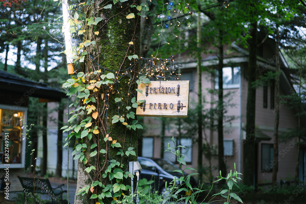 japan life food staff