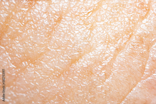 人間の肌のスーパーマクロ photo