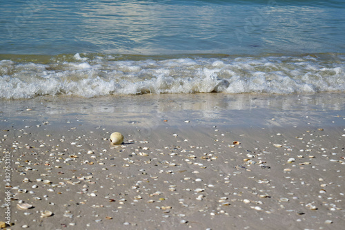 Deserted South Florida Gulf Beach 