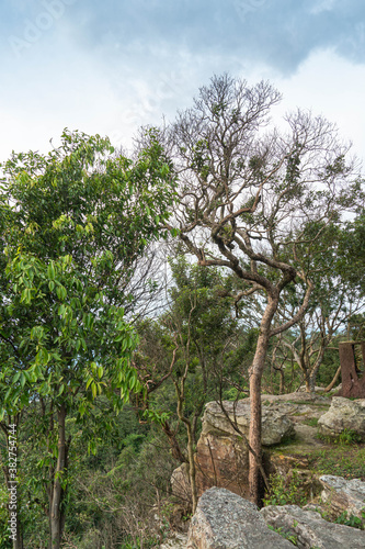 
Cliff with beautiful views and steep cliffs of Hua Nak at Chaiyaphum Thailand