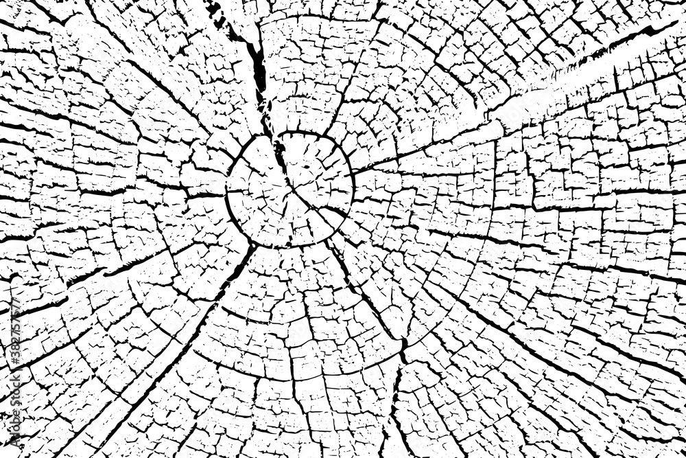  Structure of cracks of wood  vector background, Fragment of an old tree with a knot