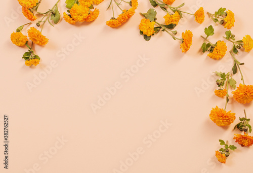 orange chrysanthemums on yellow paper background