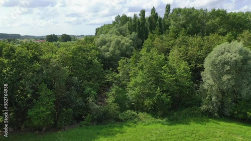 Aerial, panning, summer foliage outside of Beernem, Belgium photo