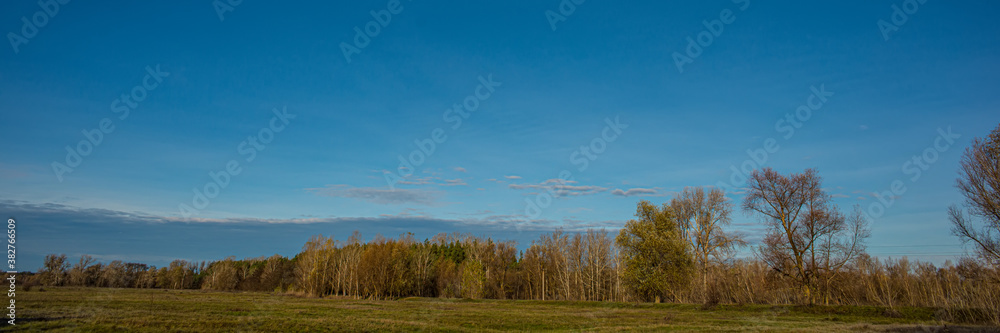 Meadow and blue sky on the background of deciduous forest. Meadow and blue sky on the background of deciduous forest.