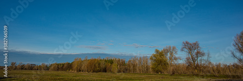Meadow and blue sky on the background of deciduous forest.