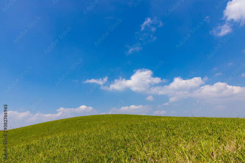 草原と空
