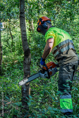 forest worker working in the forest with chainsaw