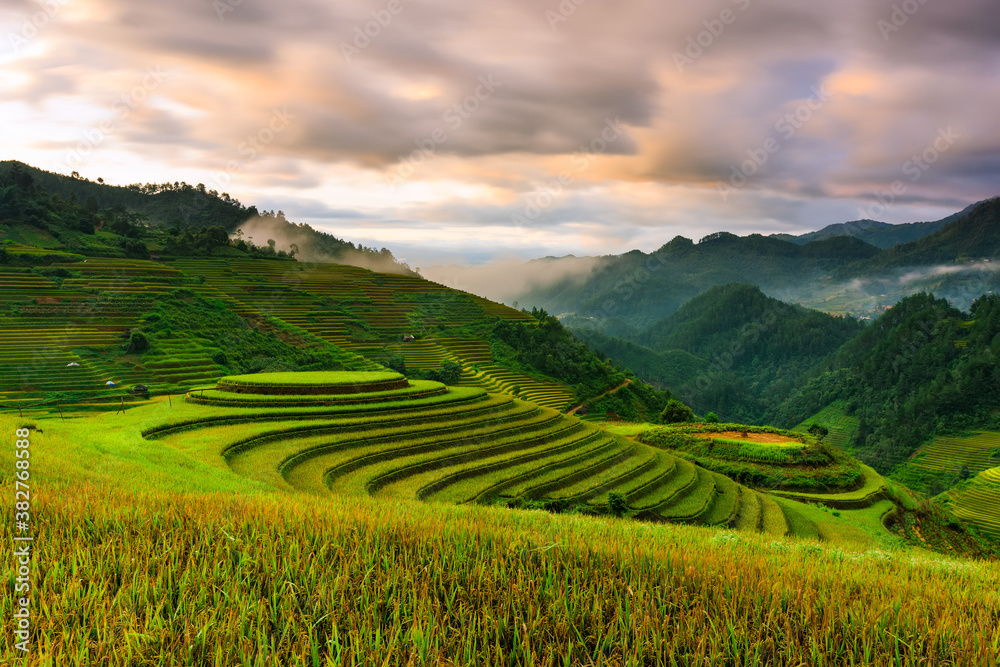 Sunrise on famous terraced rice paddy in Mu Cang Chai district, Lao Cai province, Vietnam.