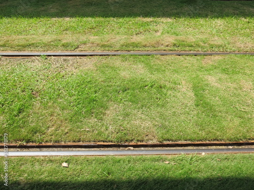 light rail transit in Kaohsiung with grass