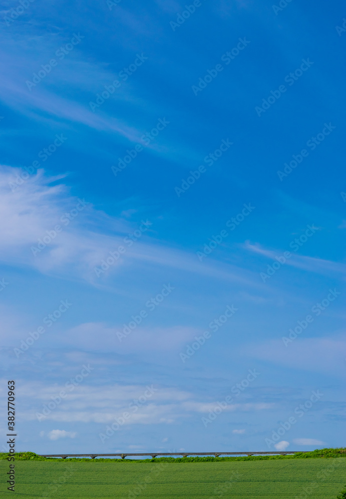 丘の風景　美瑛　拓進 BIEI