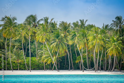 Coconut palm trees on the beach at Lankanfinolhu island, Maldives