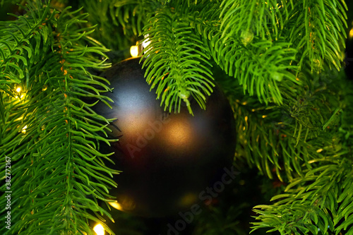 Black christmas tree ball toy on christmas tree, space for text. Gifts and congratulations holidays concept, xmas