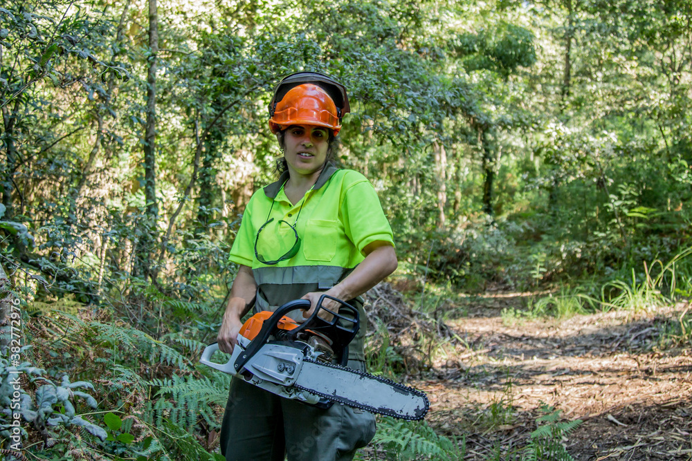 forest worker with chainsaw in the forest