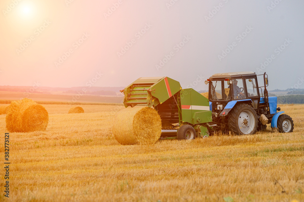 Obraz premium the production of rolls of straw tractor