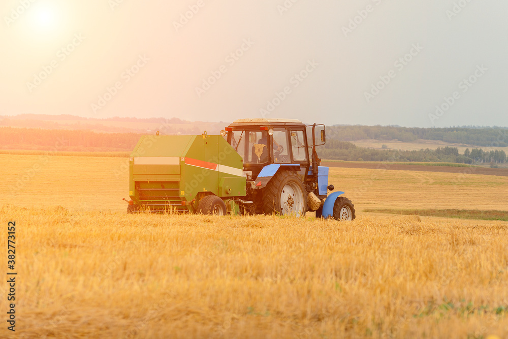 Obraz premium the production of rolls of straw tractor