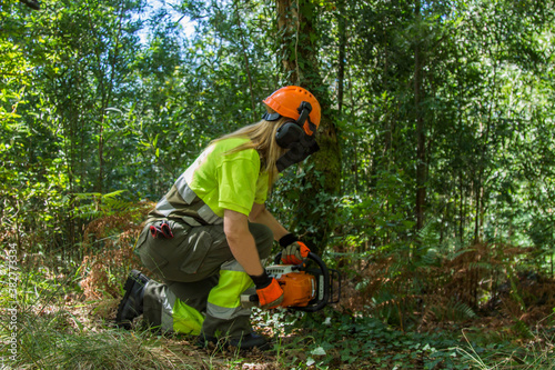 forest worker with chainsaw cutting trees