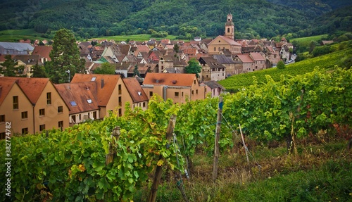 Obraz na plátne A vineyard around historic french city with red tiled roof houses
